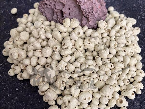 ����������������